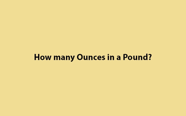 how-many-ounces-in-a-pound-find-out-here