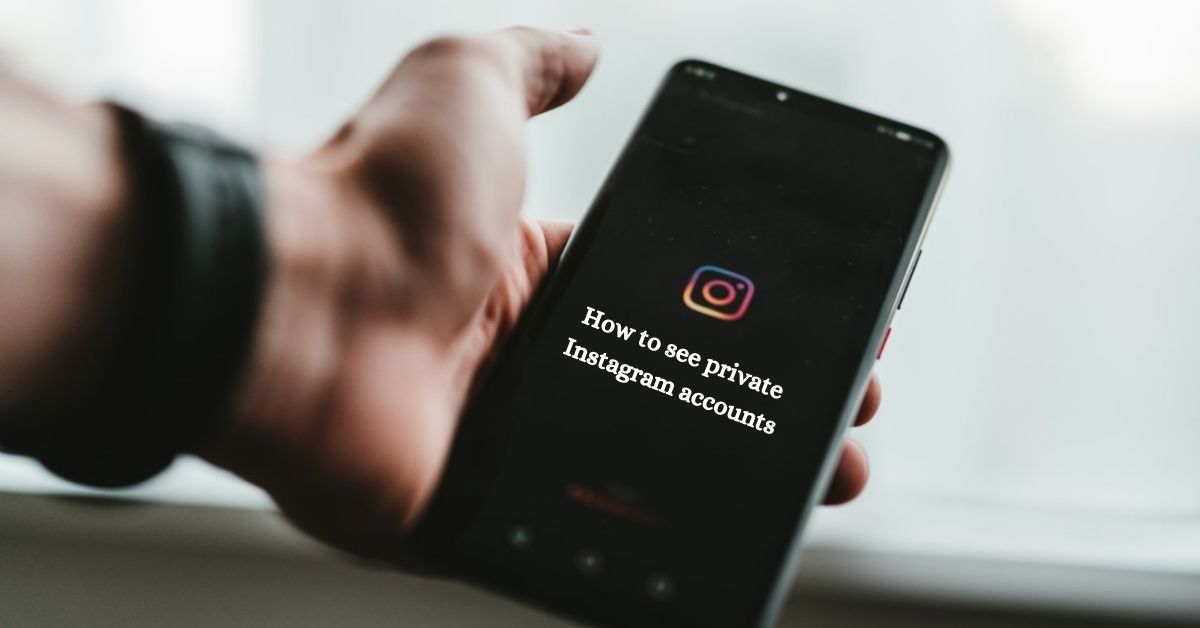 how to see private instagram accounts instantly in 2024
